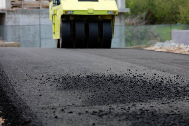 Best Local Driveway Pavers  in Charleston, MS