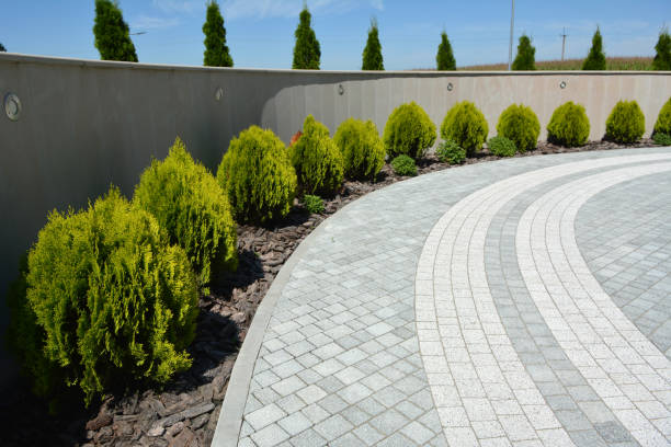 Reasons to Select Us for Your Driveway Paving Requirements in Charleston, MS